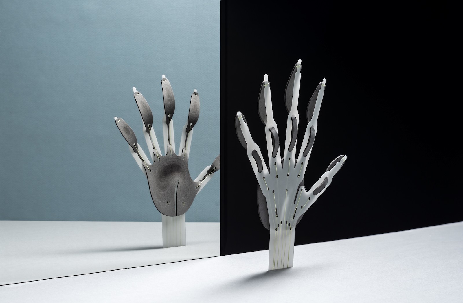 Project by David Walsh.