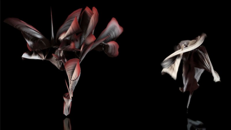 Dancing Digital