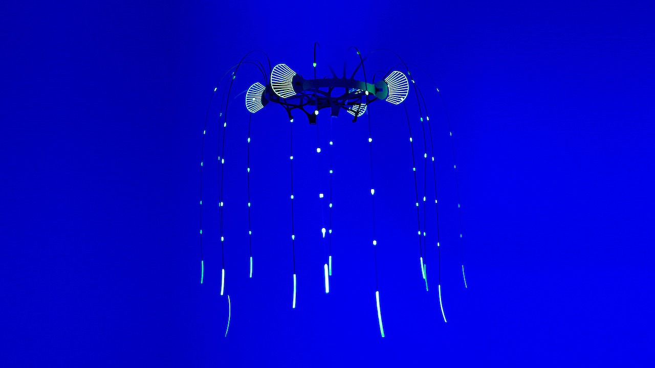 © Anglerfish. Verity Studios.