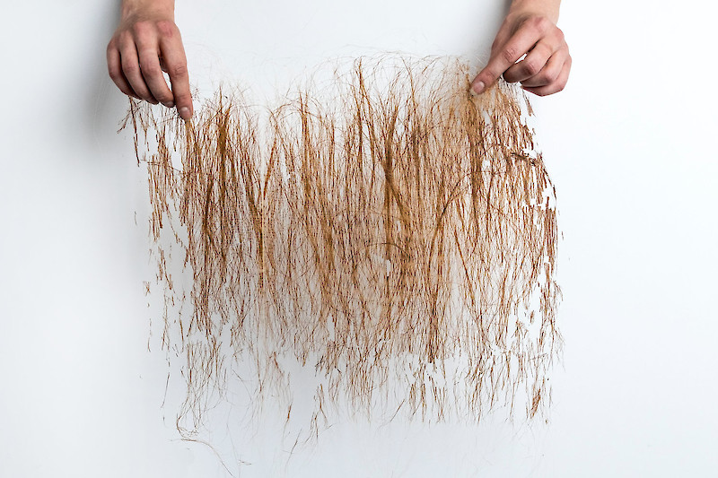 The Colour of Hair