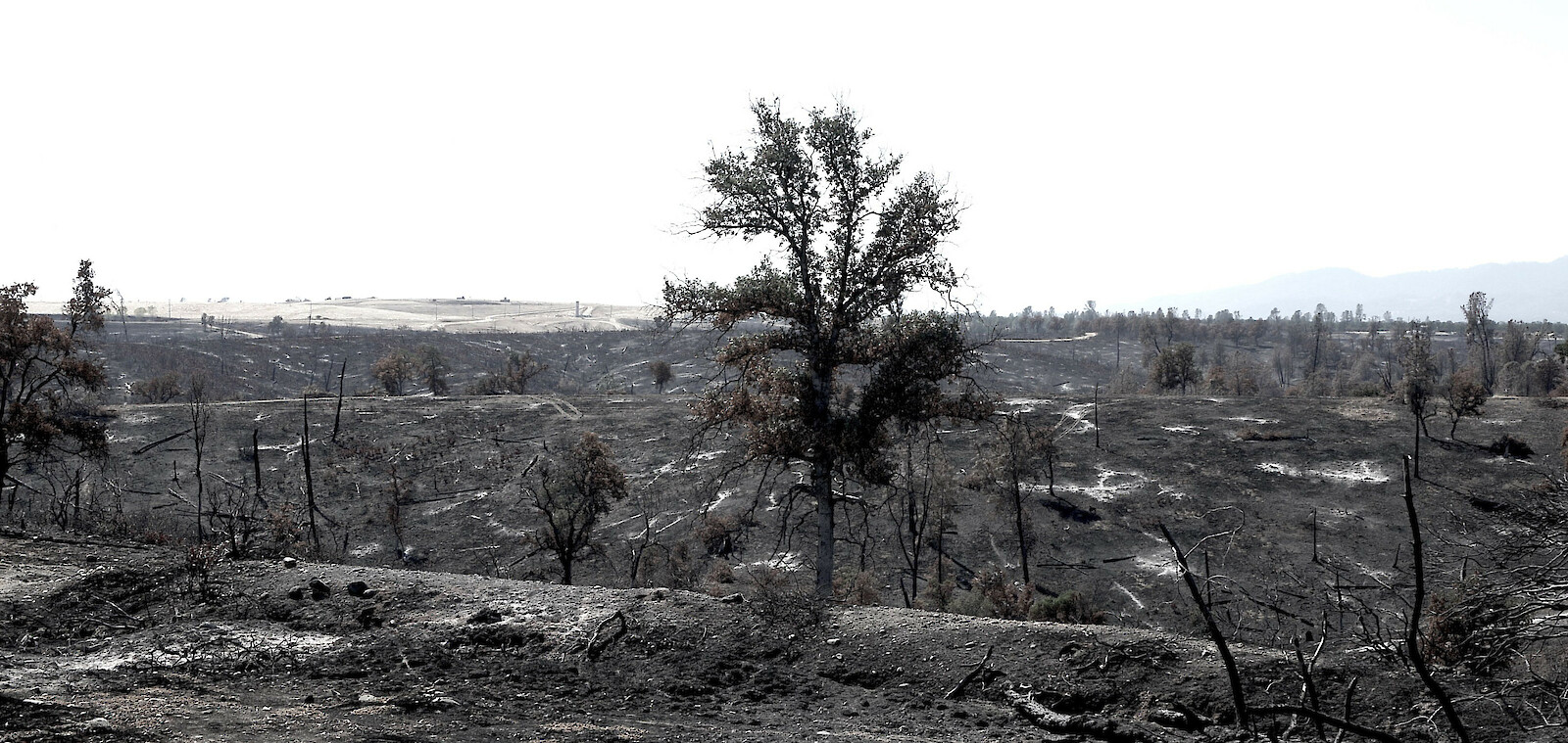 Only Expansion. © Duncan Speakman.