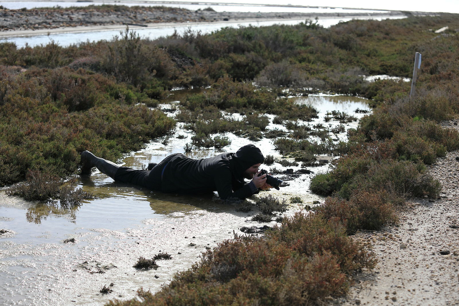 Jakob Kudsk Steensen, Field work in the Camargue, Salin de Giraud. Credit: Matthieu Grospiron.