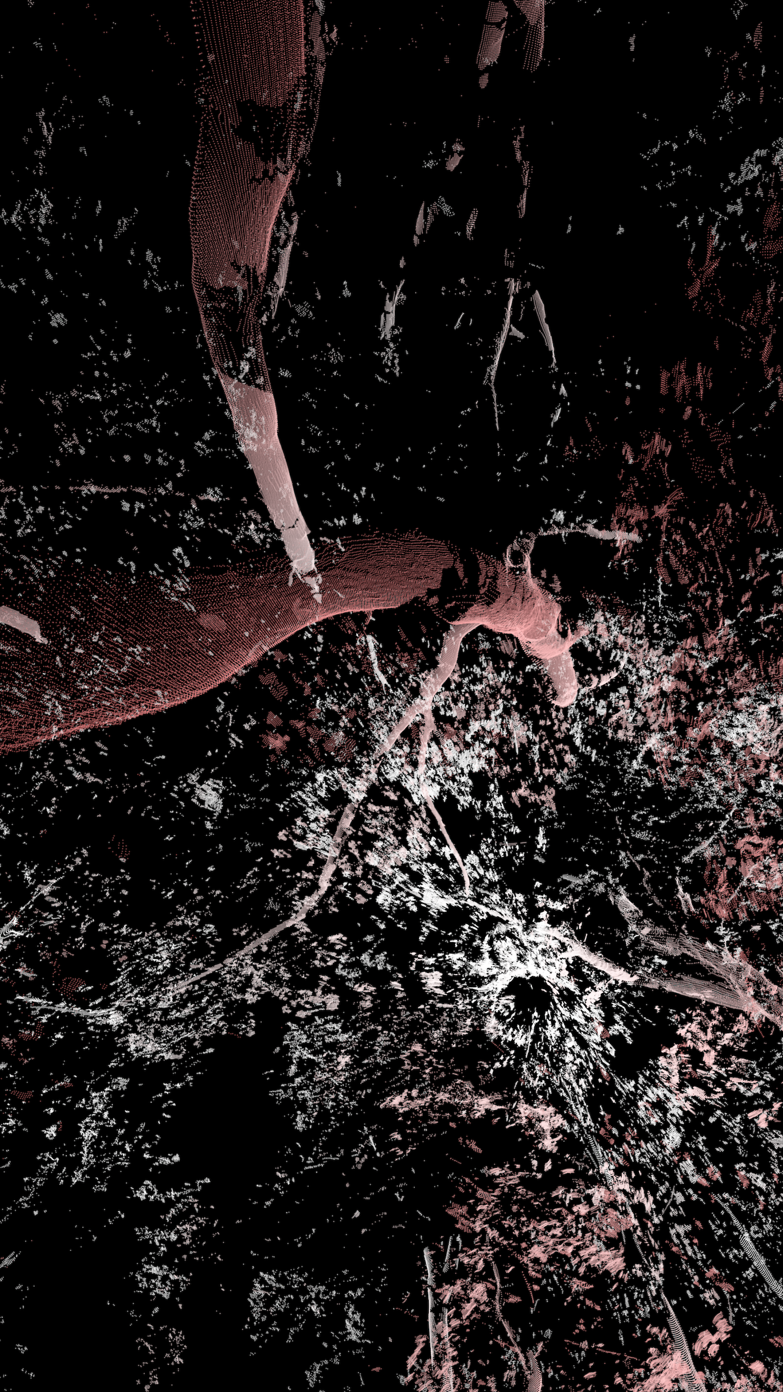 «Cambio» (2020) by Formafantasma.