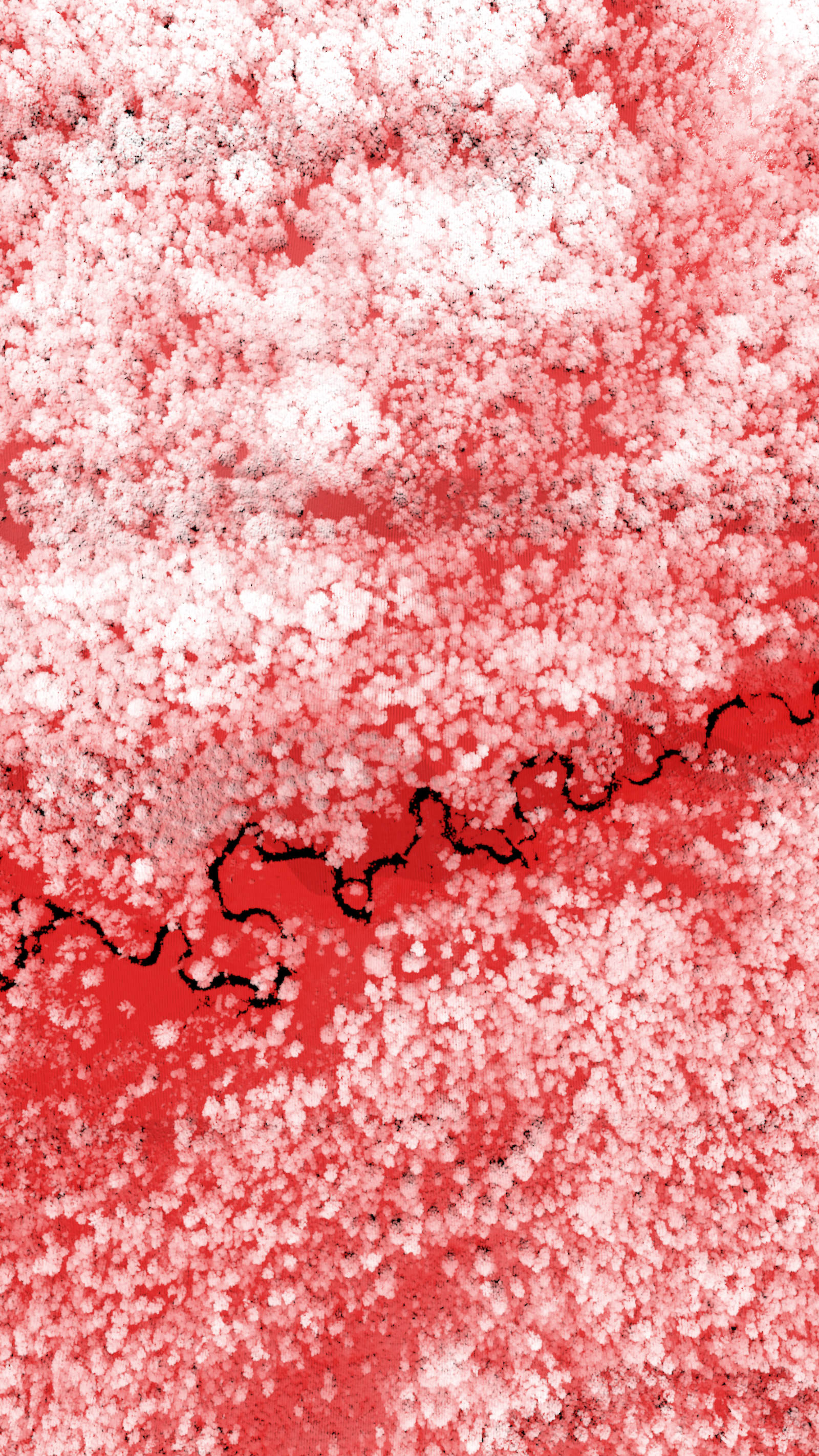 Andrea Trimarchi & Simone Farresin. Studio Formafantasma