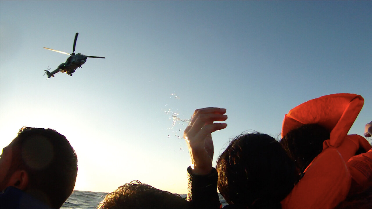 Purple Sea, pong Film ©2020