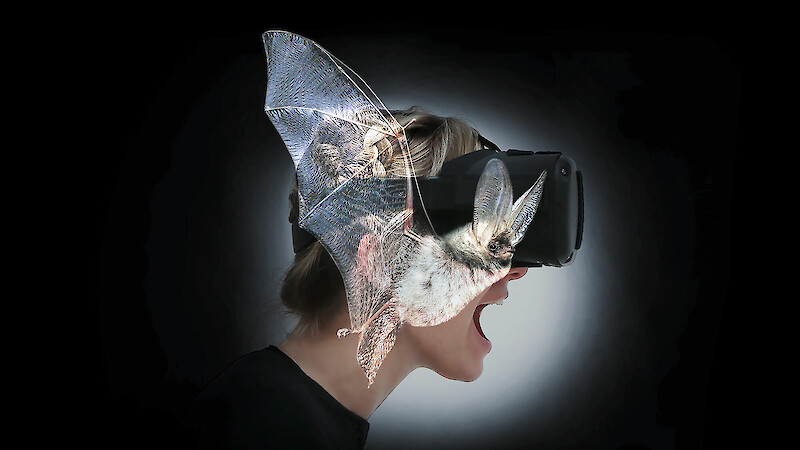 «BATVISION» (2020) by Eliane Zihlmann and Raffaele Grosjean, BA Industrial Design, ZHdK.