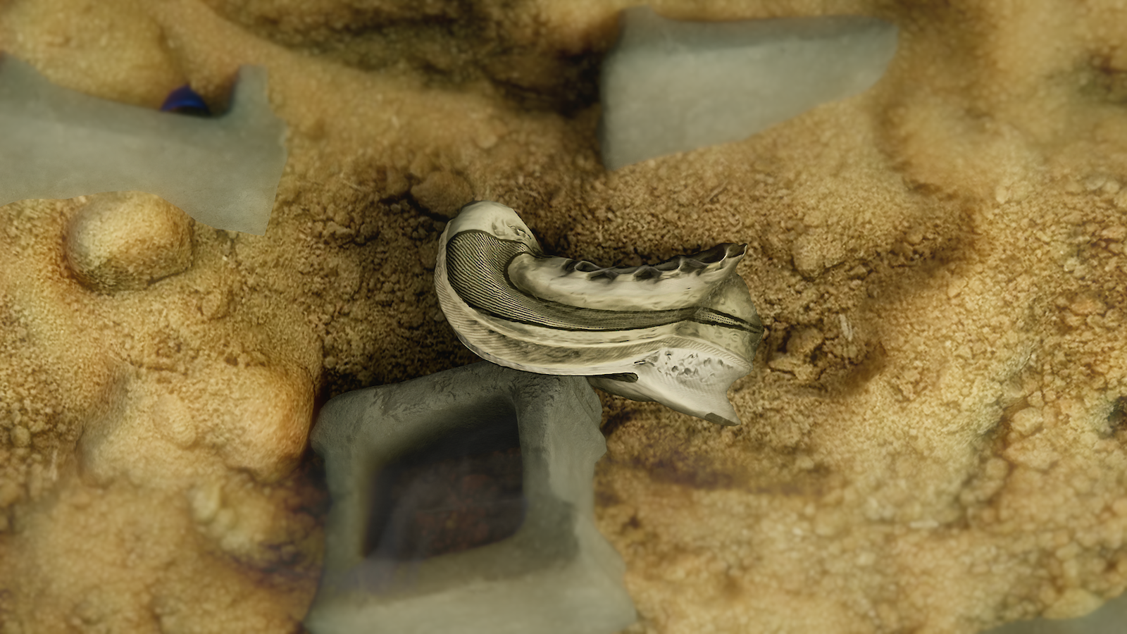 Videostill «Cryptic Ruins» by Stine Deja.