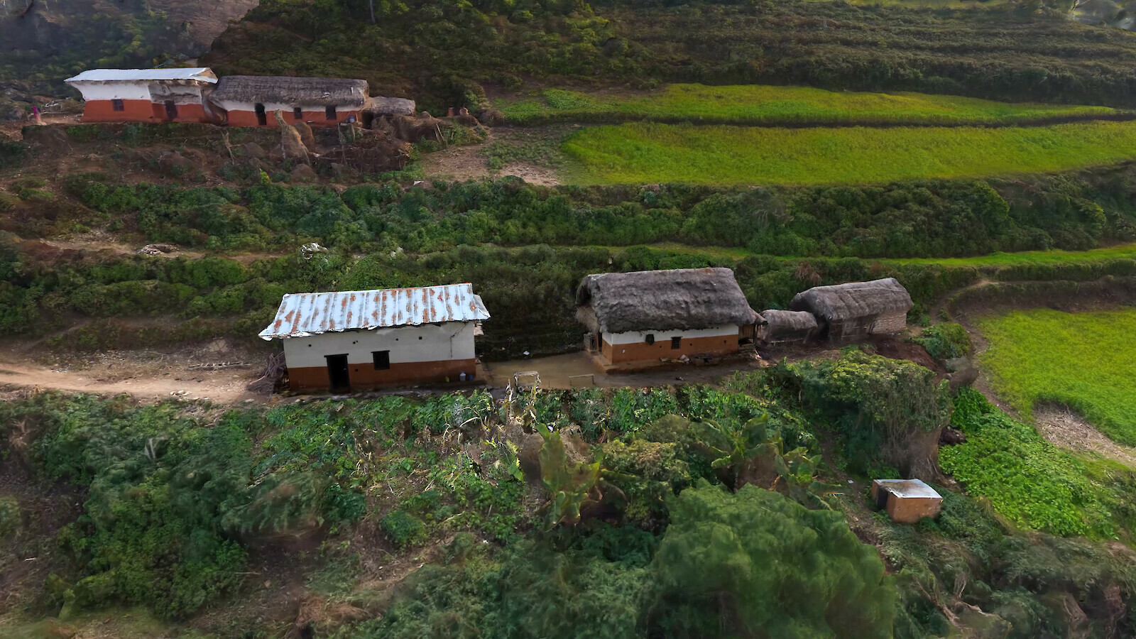 «Kusunda» by Gayatri Parameswaran & Felix Gaedtke.