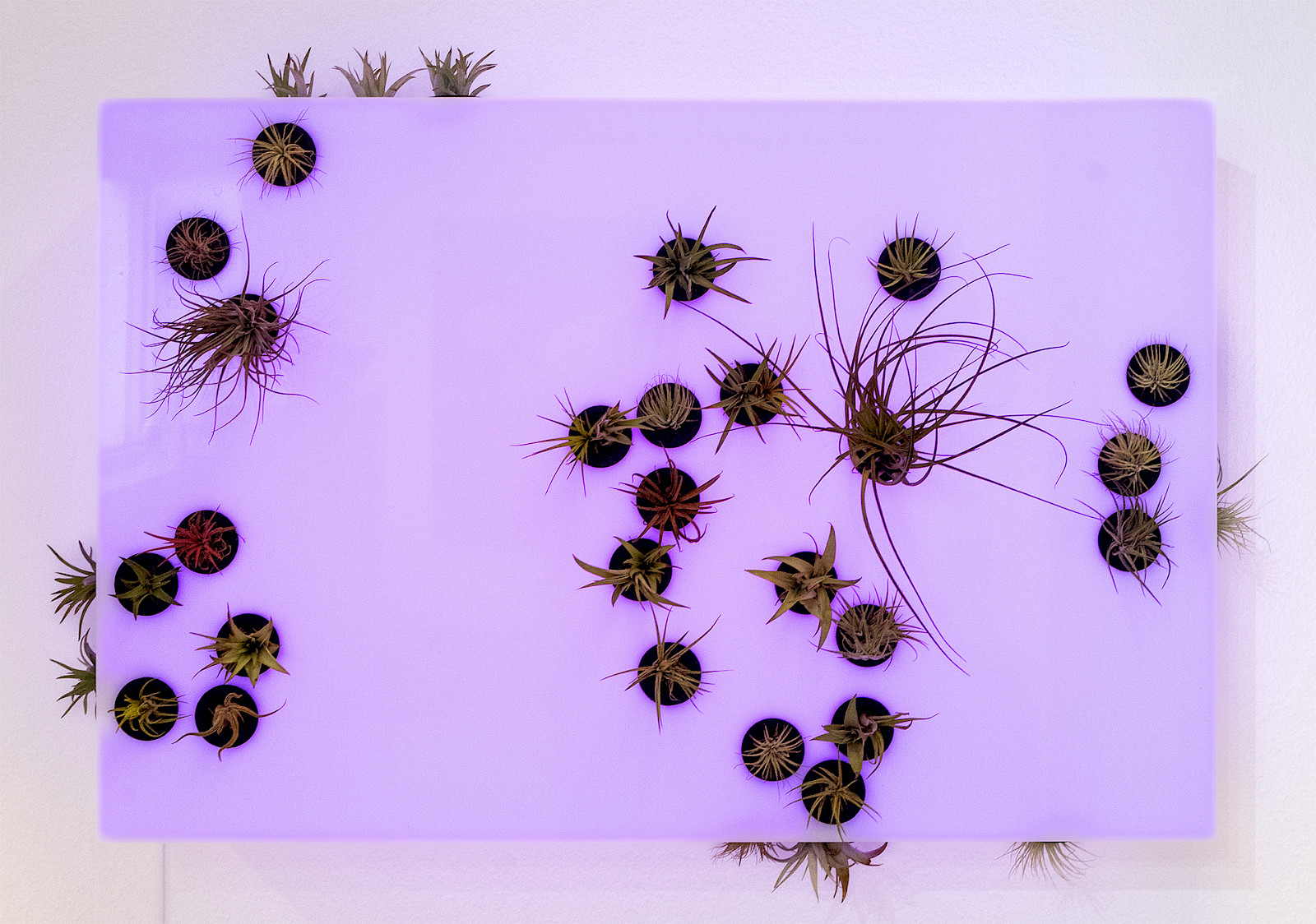 Image «Meteorite Map». © Leandra Agazzi.