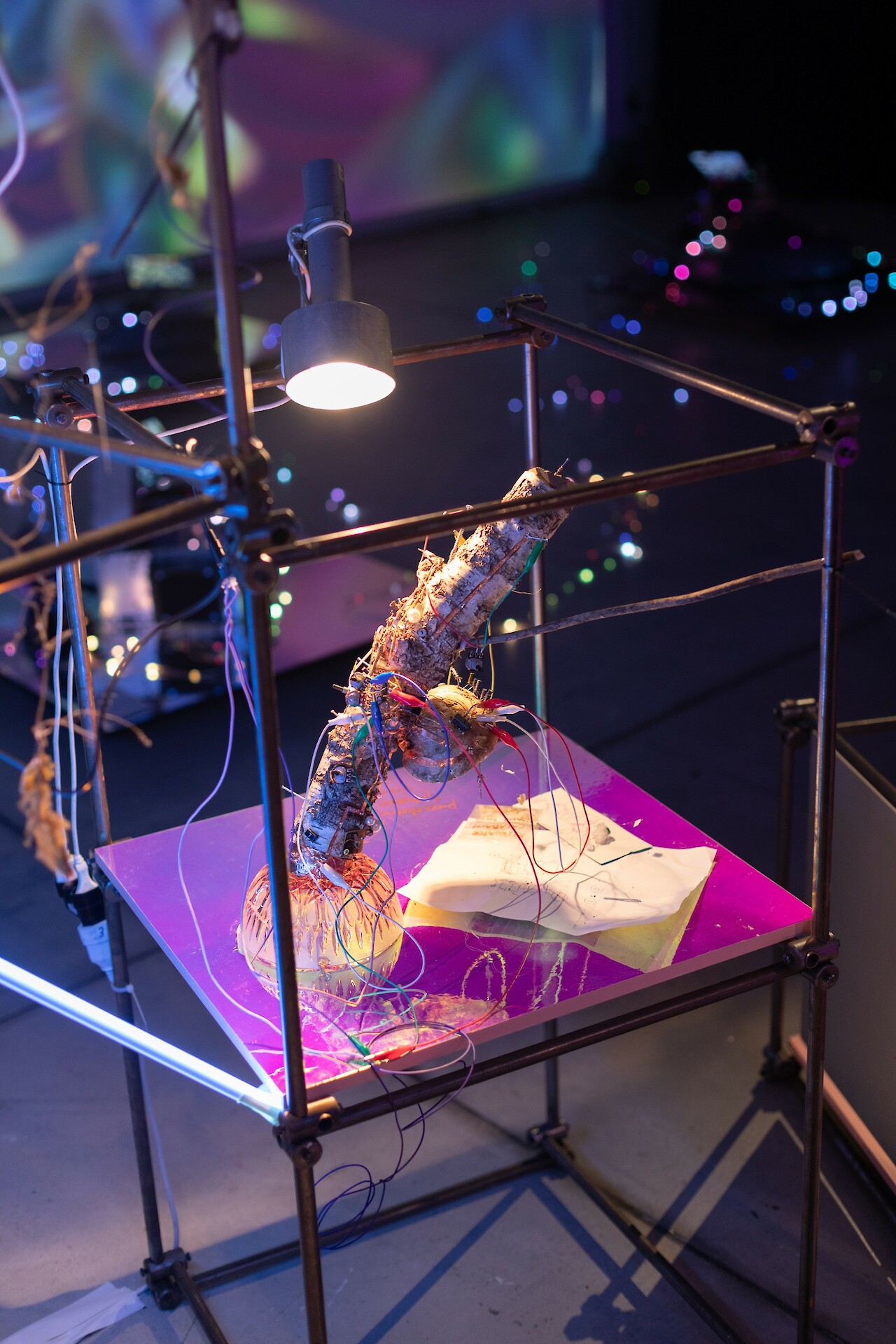 «Are Friends Pizoelectric» (2023) by Miranda Moss. Photo: David Jäggi. © ZHdK.