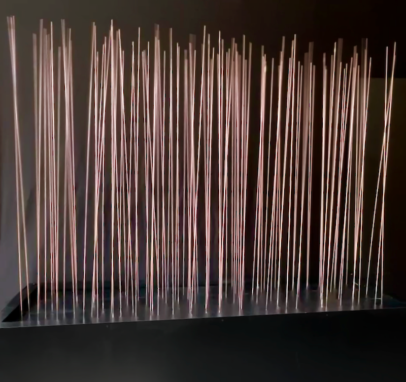 invisible fields