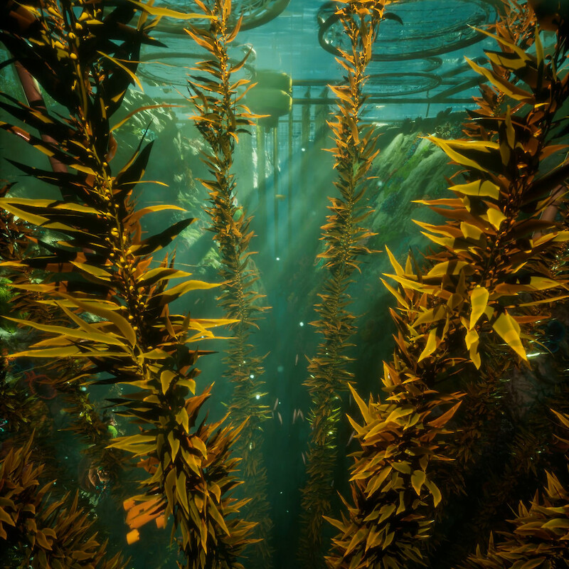 The Seas Are No Longer Dying