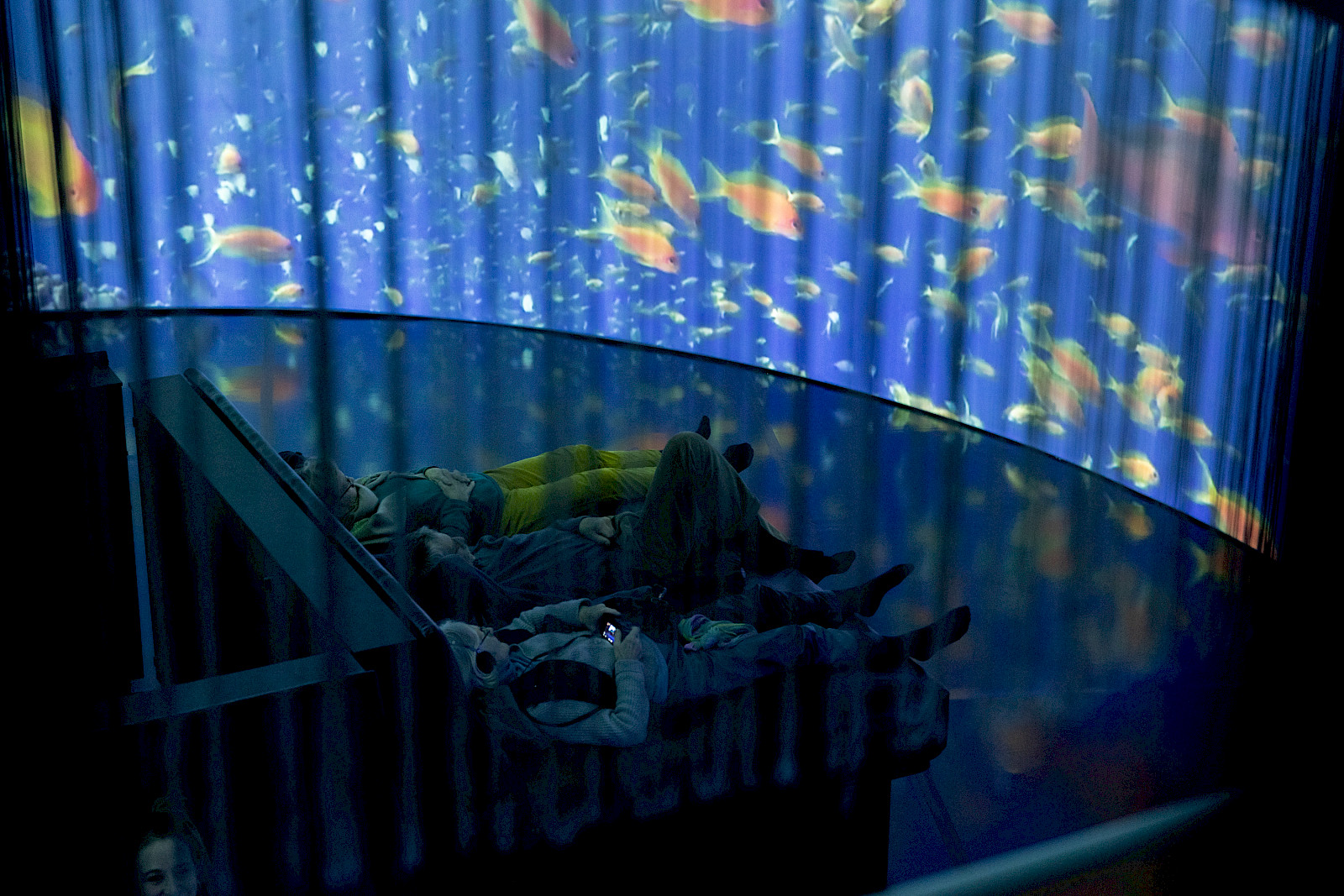 «Oceanic Refractions». Transmediale X CTM Festival Berlin 2024. Photo by Laisiasa Dave Lavaki.