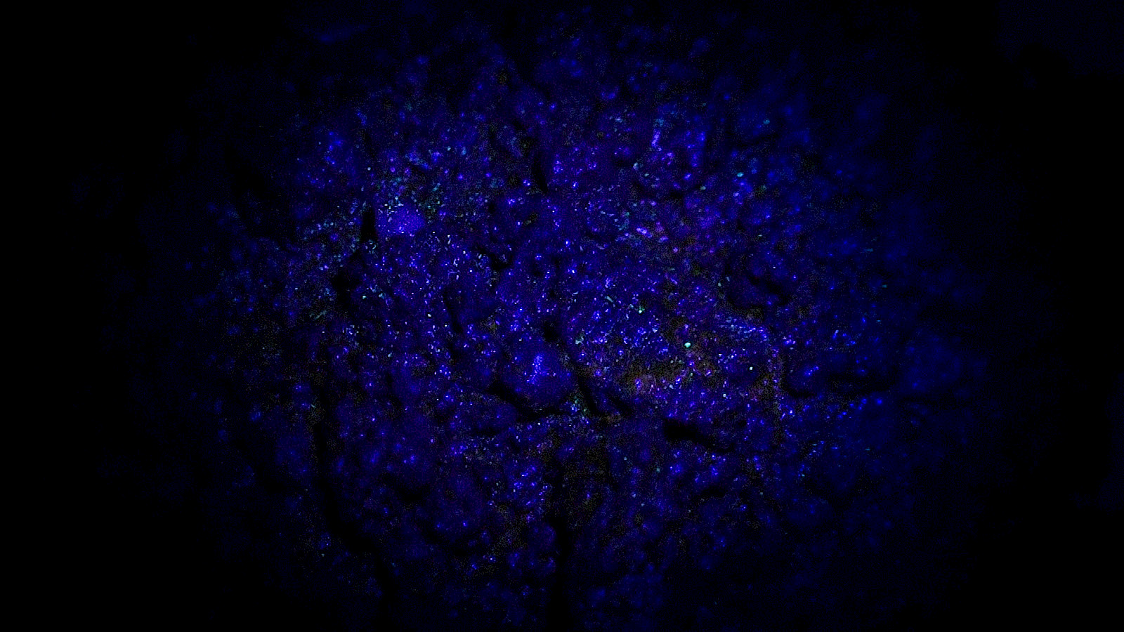 «CHORNOZEM» (2025). © ZHdK.